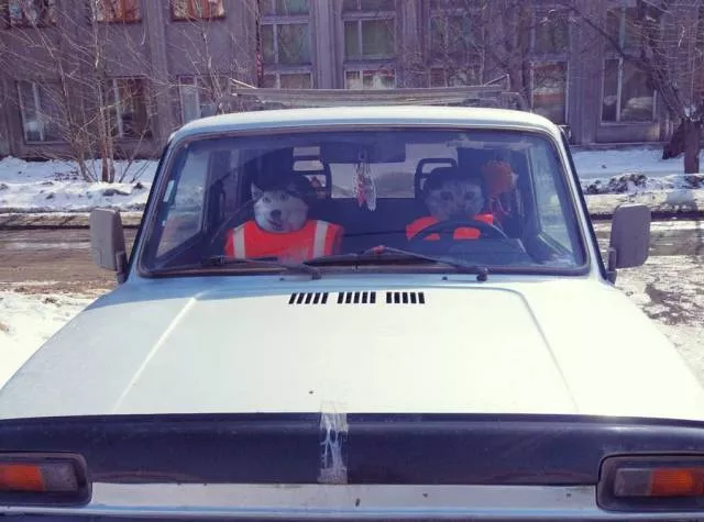 Picdump 336 - #90 