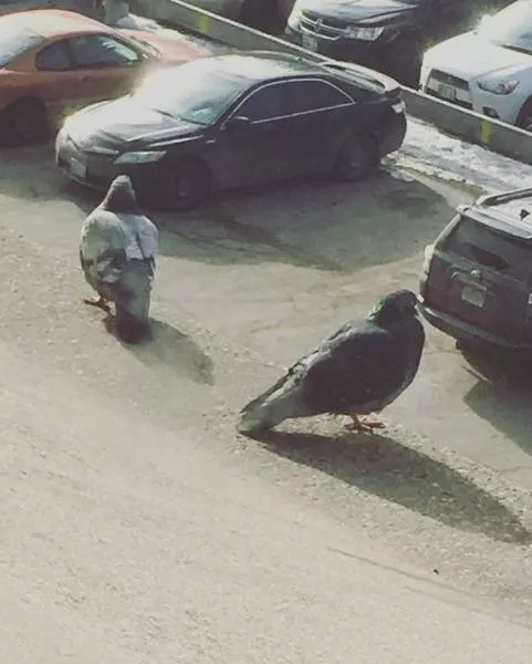 You have to take a second look to understand these pictures - #13 