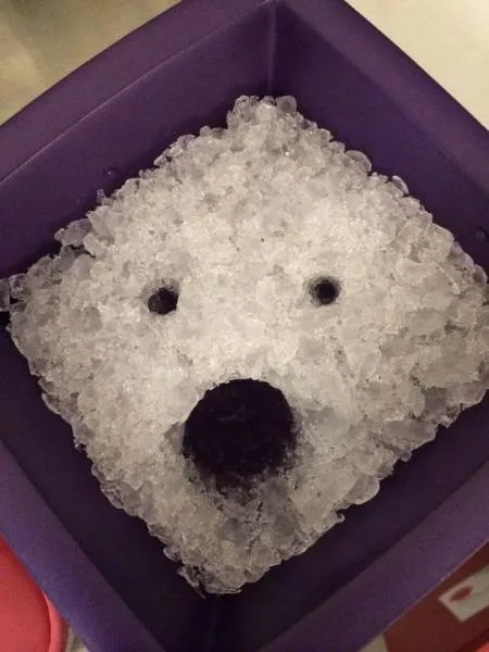 You have to take a second look to understand these pictures - #19 
