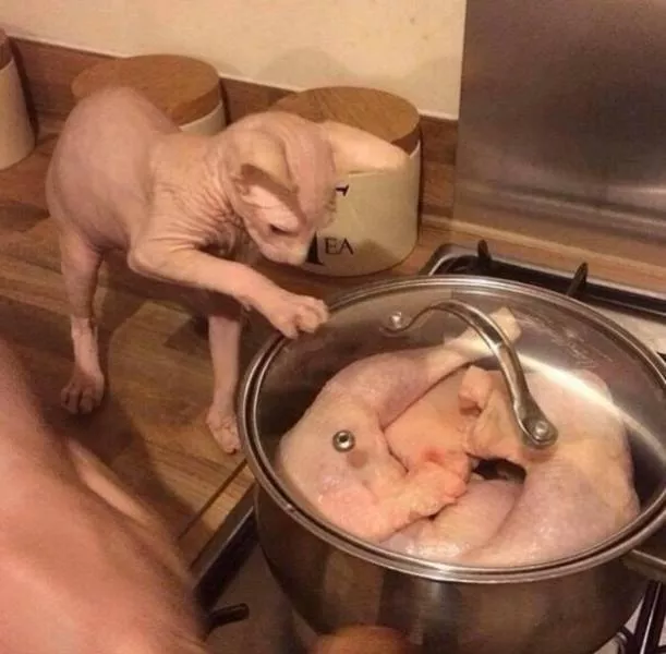 You have to take a second look to understand these pictures - #23 
