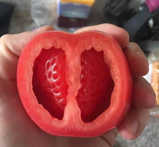 You have to take a second look to understand these pictures - #33 