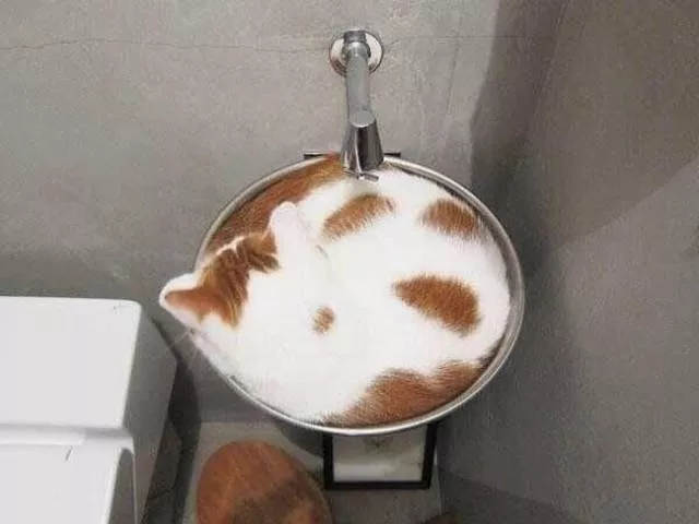 You have to take a second look to understand these pictures - #6 