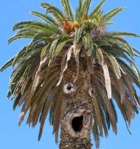 You have to take a second look to understand these pictures - #9 