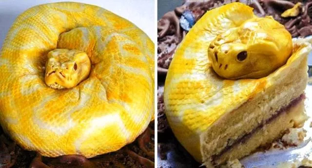 The most creative cakes in the world