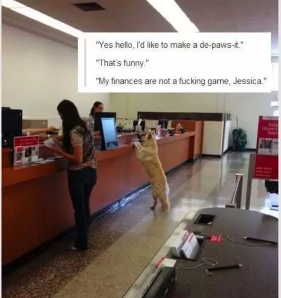 Stupid humor - #19 