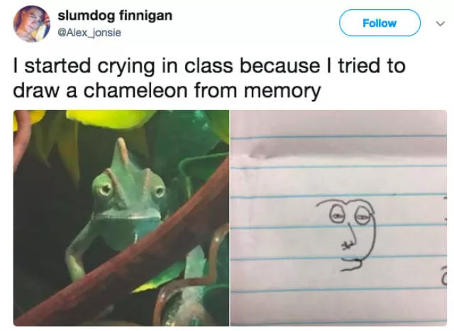 Stupid humor - #23 