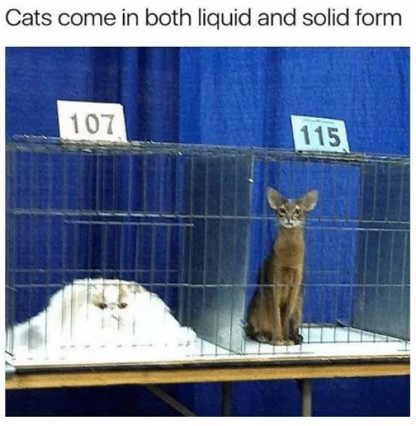 Stupid humor - #25 