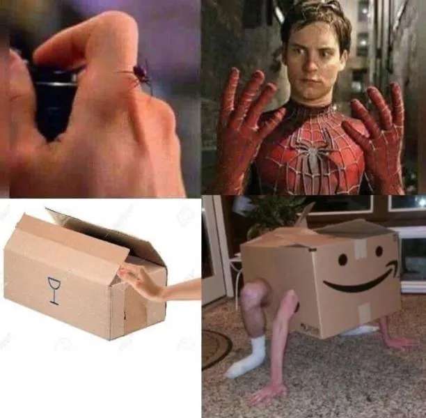 Stupid humor