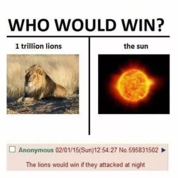 Stupid humor - #32 