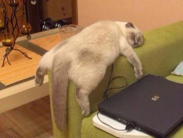 Picdump 8 - #11 