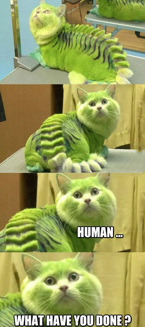 Picdump 8 - #29 