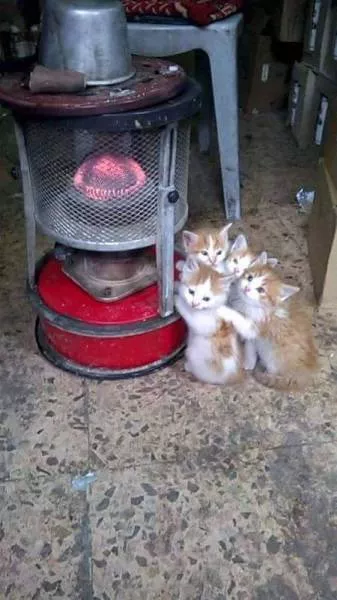 Picdump 8 - #35 