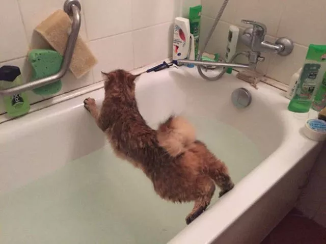 Picdump 8 - #40 