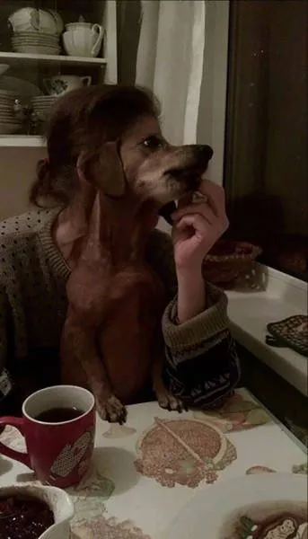 Picdump 8 - #5 