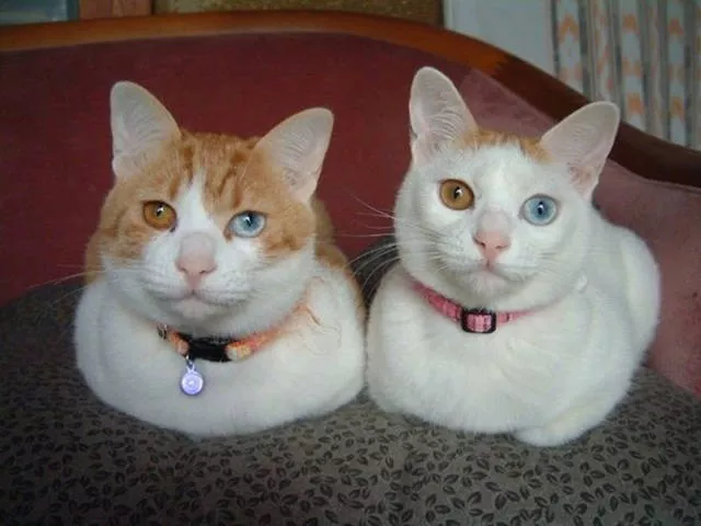 Picdump 8 - #6 