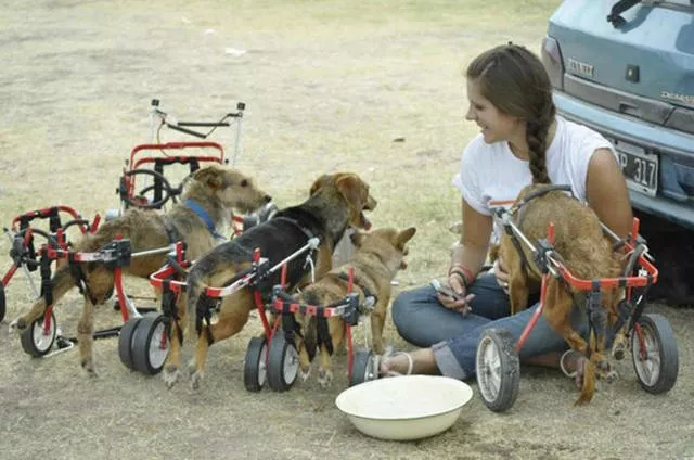 Picdump 8 - #8 