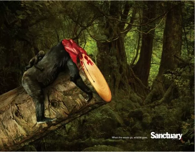 Offbeat social advertising campaigns