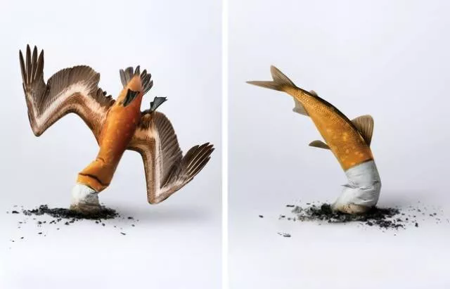 Offbeat social advertising campaigns - #22 