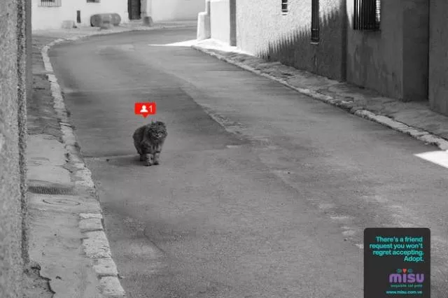 Offbeat social advertising campaigns - #6 