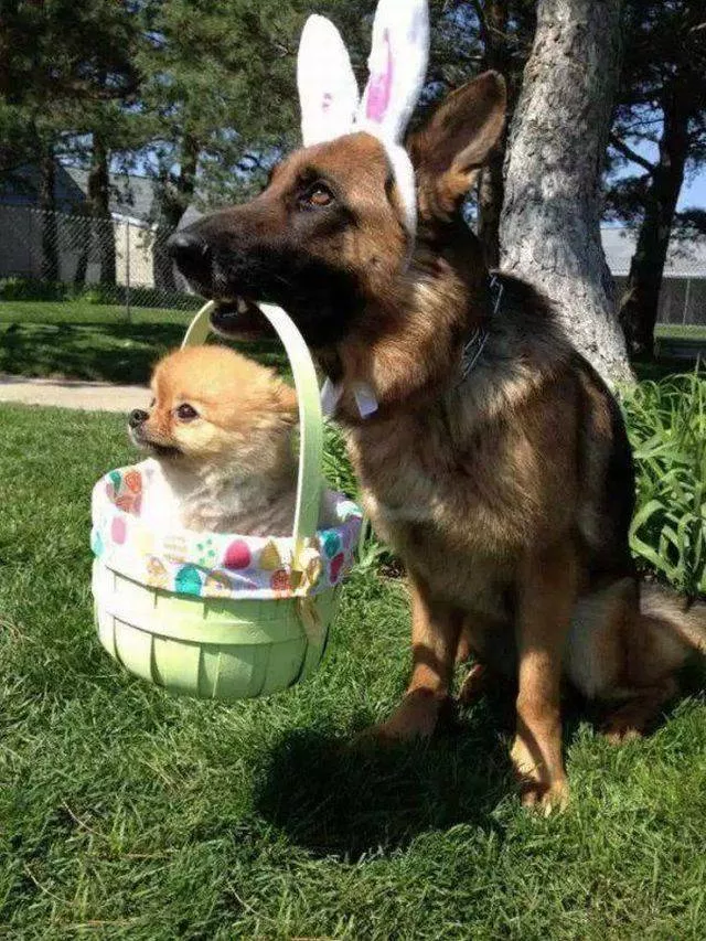 Picdump 340 - #16 