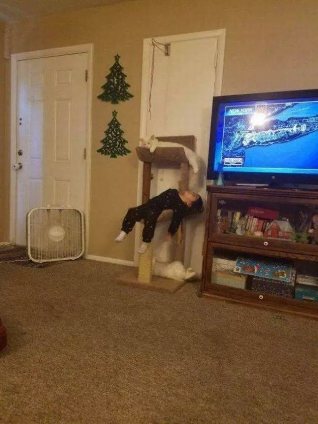Picdump 340 - #5 