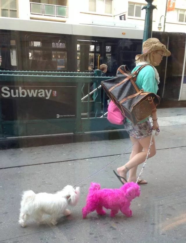 Picdump 340 - #54 Picdump 340 - #54