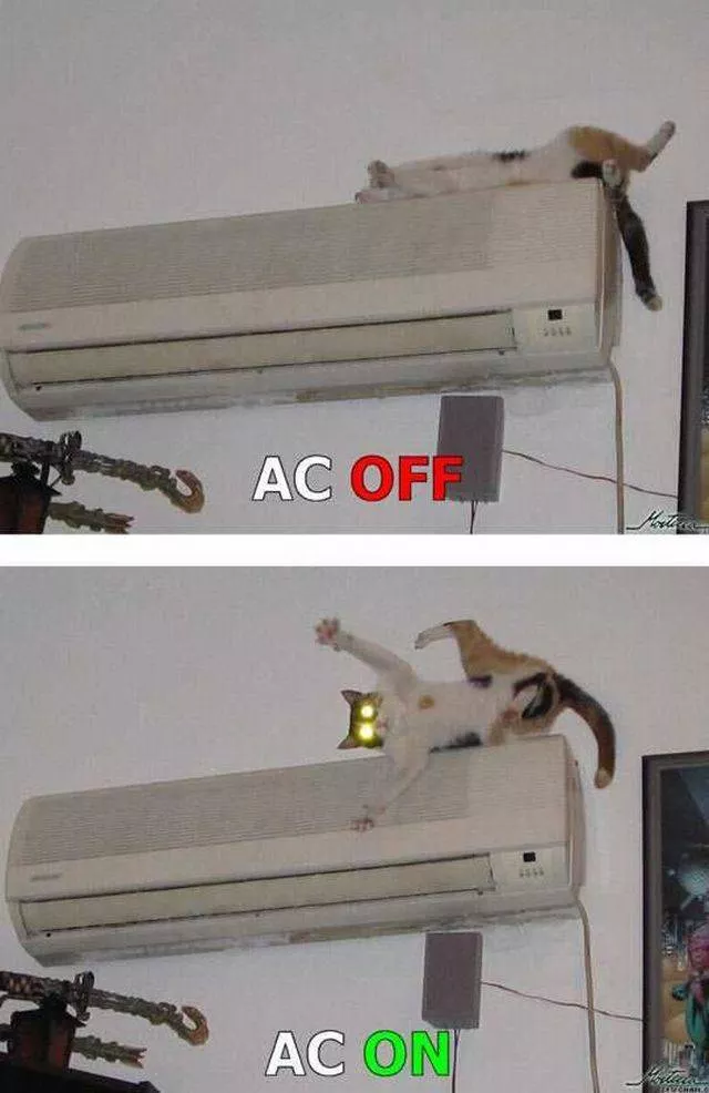 Picdump 64 - #14 