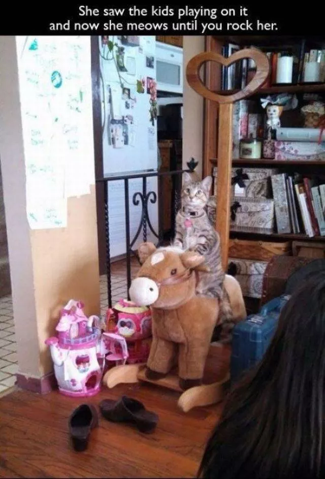 Picdump 64 - #27 