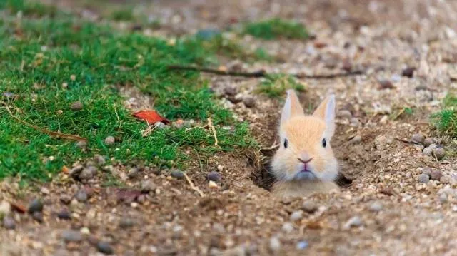Picdump 64 - #28 