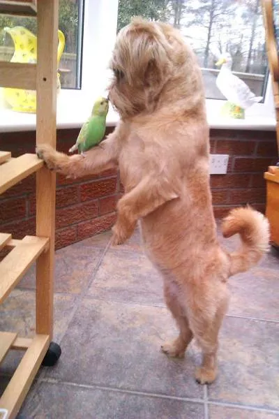 Picdump 64 - #33 