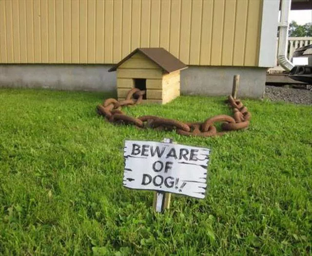 Picdump 64 - #4 