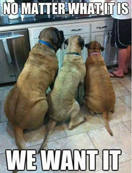 Picdump 64 - #42 