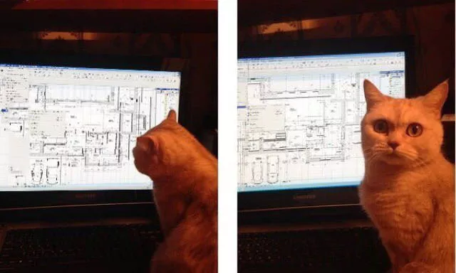 Picdump 64 - #47 