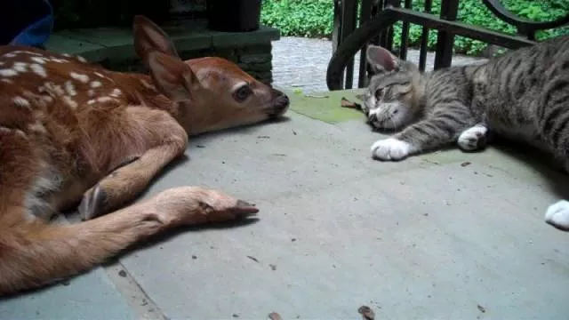 Picdump 64 - #5 