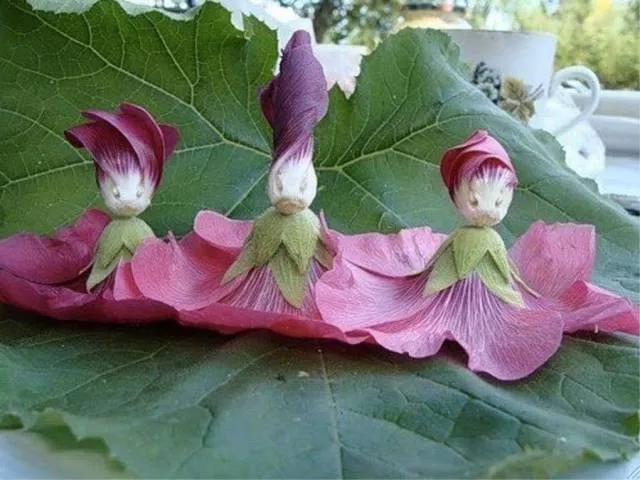 Picdump 64 - #8 
