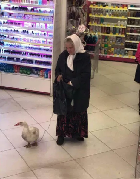 Jokes from russia