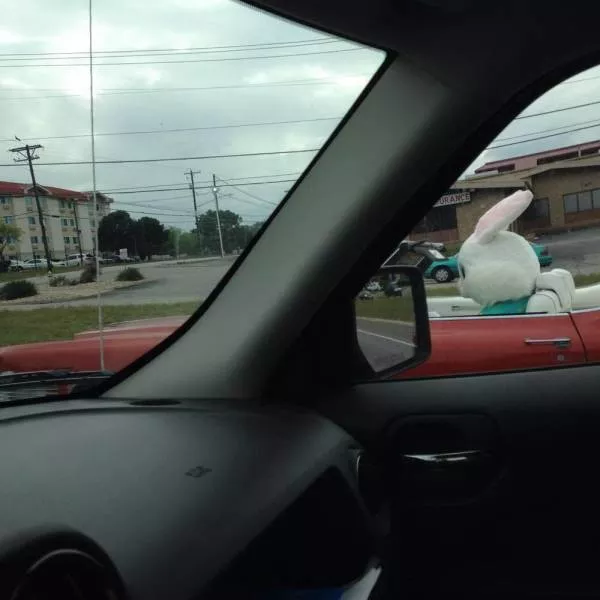 Les images les plus insolite et bizarre - #11 