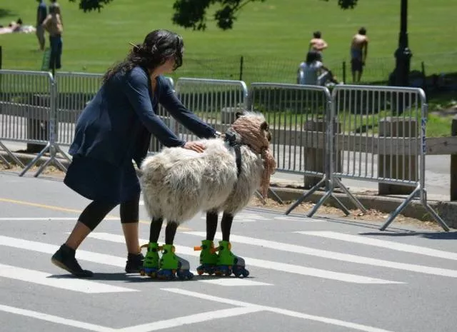 Les images les plus insolite et bizarre - #15 