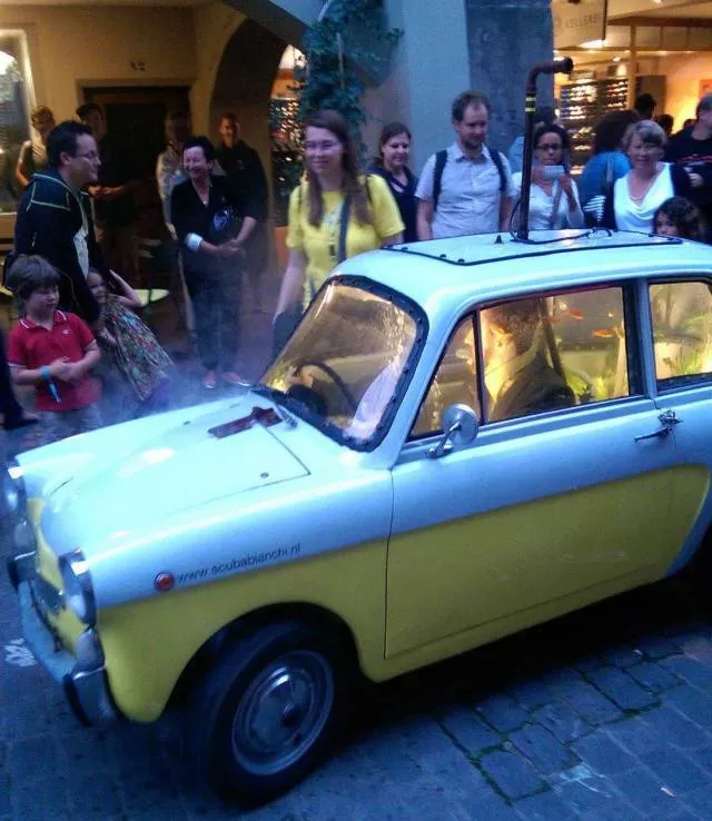 Les images les plus insolite et bizarre - #2 