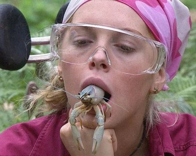 Les images les plus insolite et bizarre - #29 