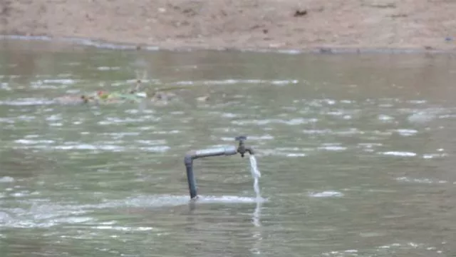 Les images les plus insolite et bizarre - #43 