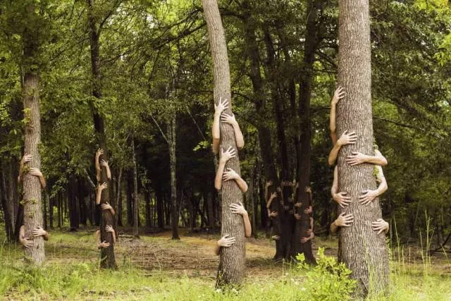 Les images les plus insolite et bizarre - #55 