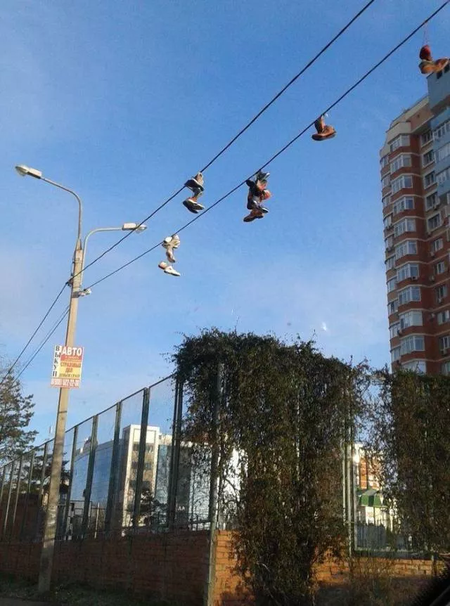 Picdump 342 - #15 Picdump 342 - #15