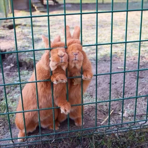 Picdump 342 - #40  Picdump 342 - #40