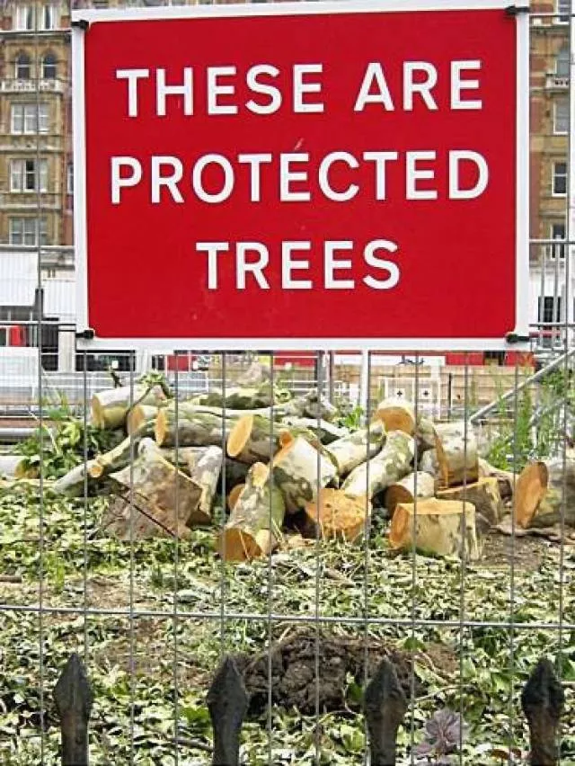 You had one job  - #40 