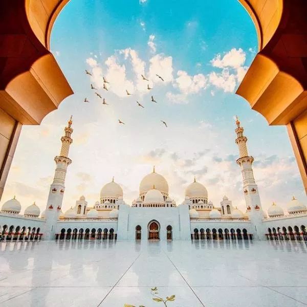 The most talented photographer in the world - #21 