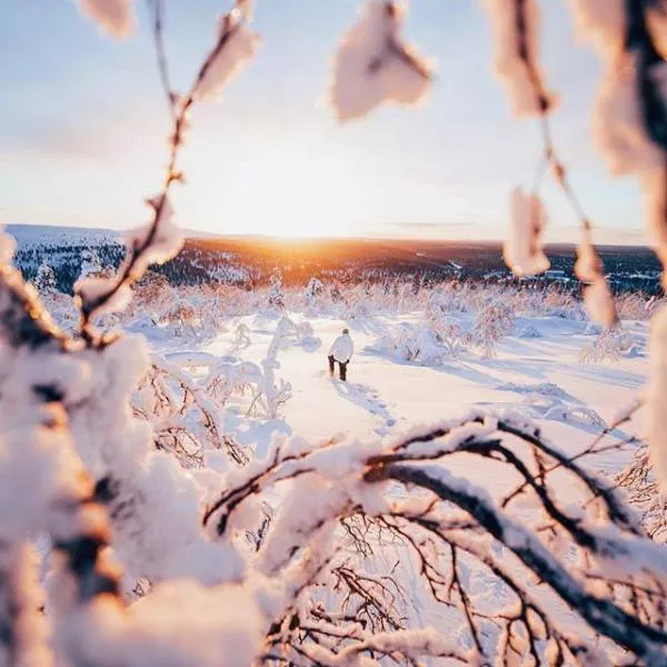 The most talented photographer in the world - #22 