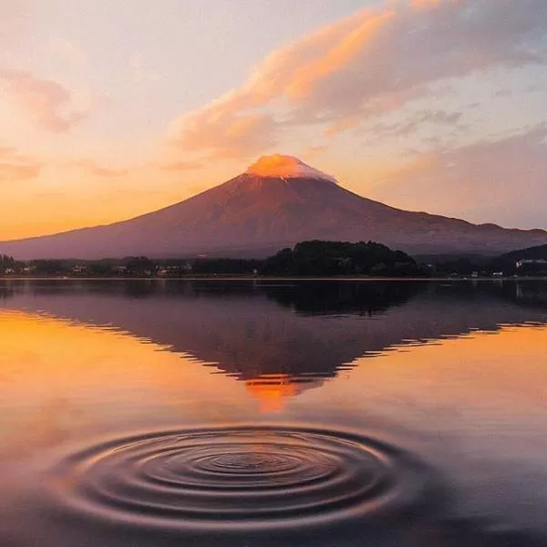 The most talented photographer in the world - #24 