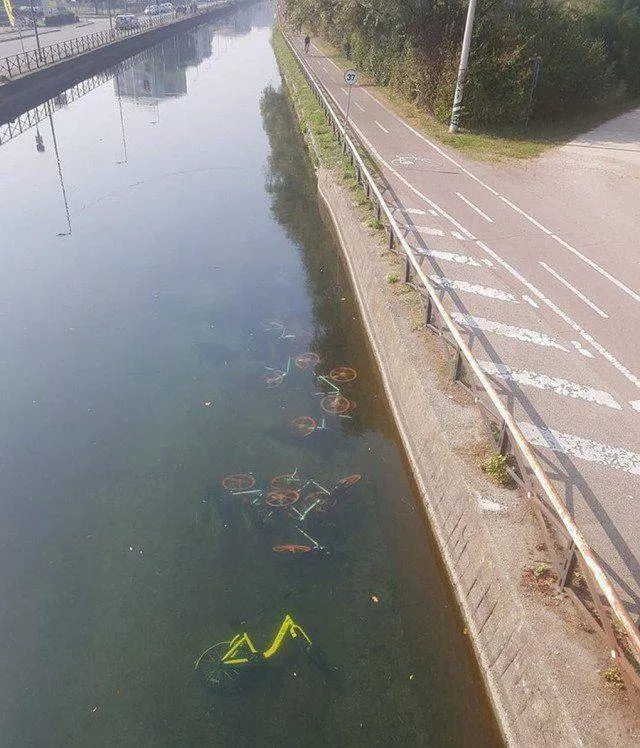 Picdump 343 - #27 