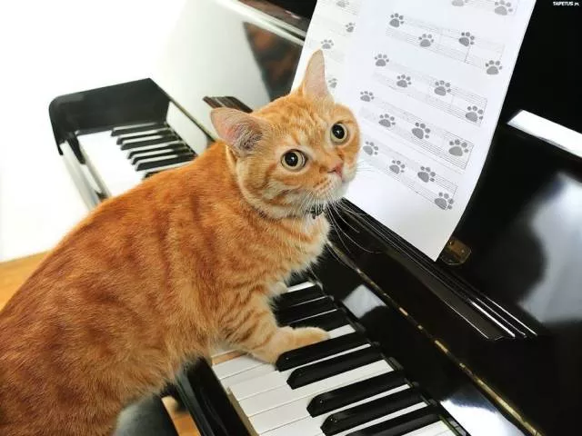 Picdump 343 - #52 